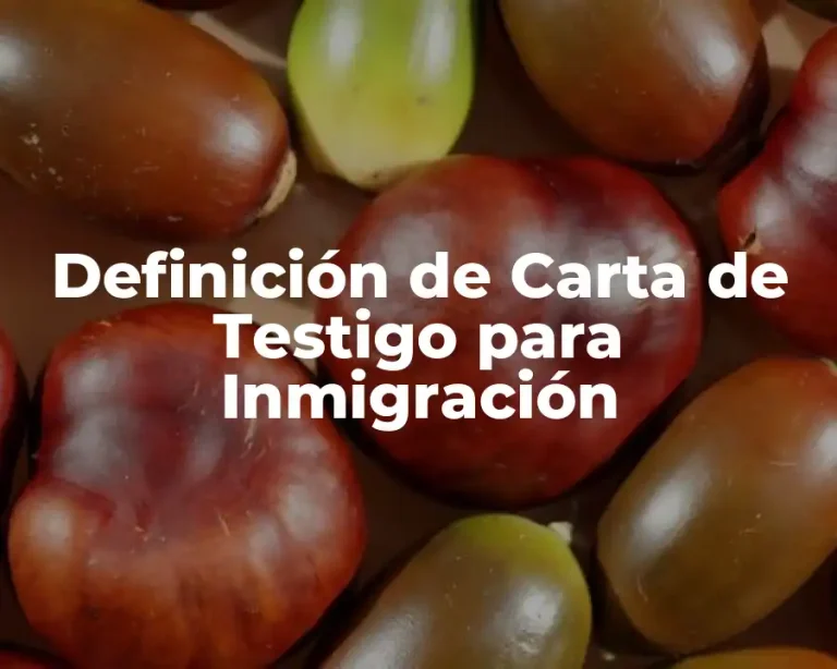 Definición de Carta de Testigo para Inmigración