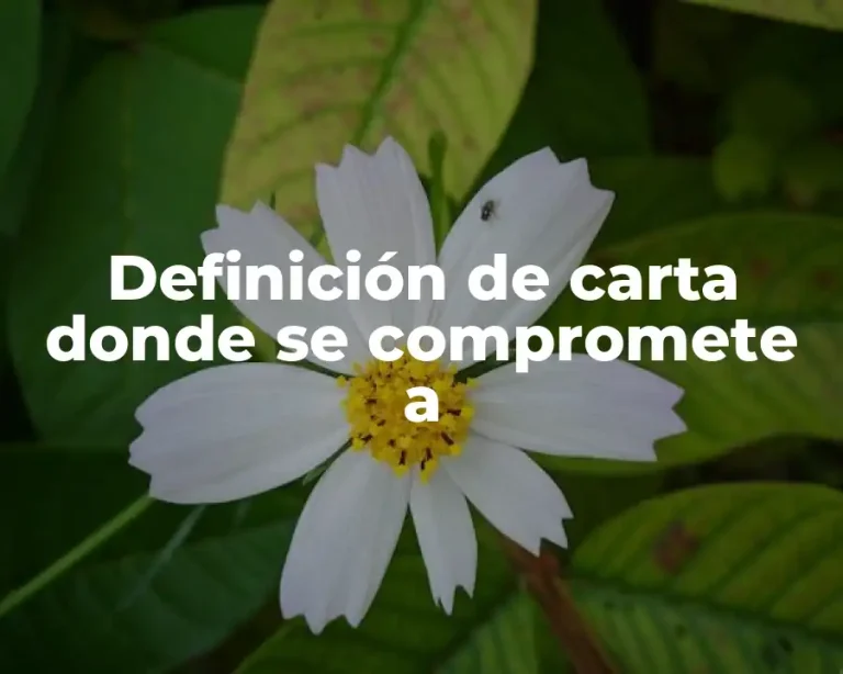 Definición de carta donde se compromete a