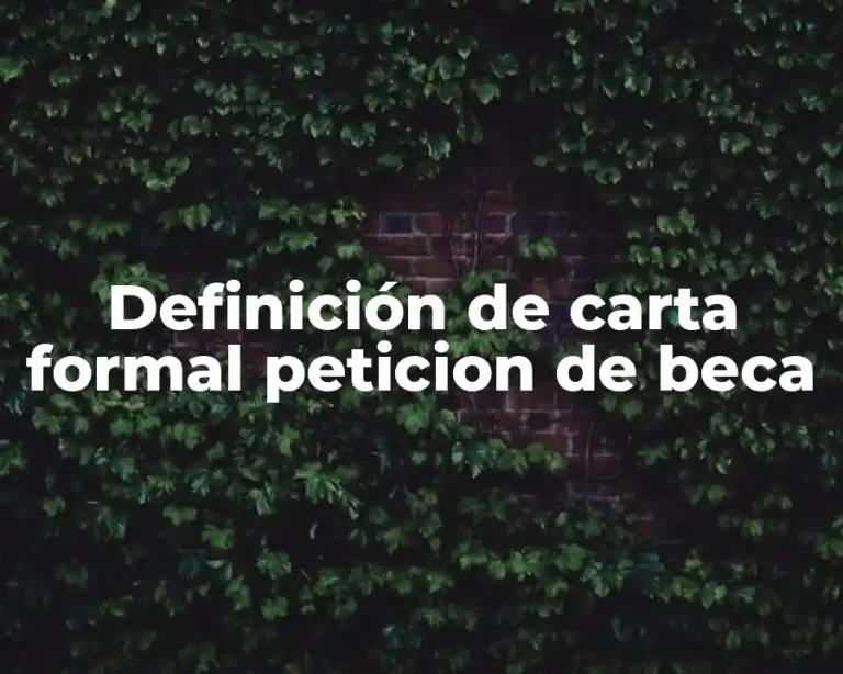 Definición de carta formal peticion de beca