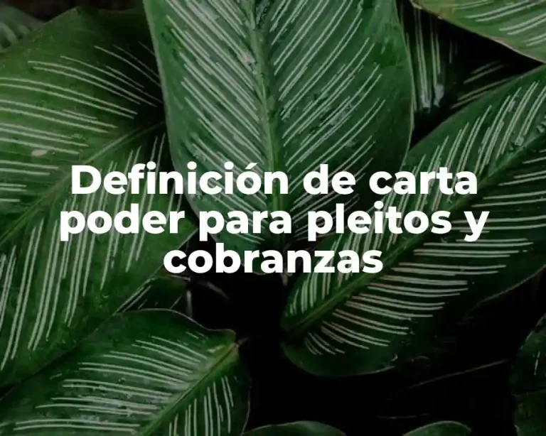 Definición de carta poder para pleitos y cobranzas