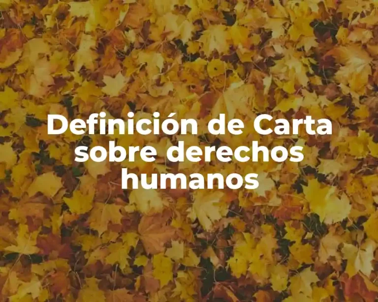 Definición de Carta sobre derechos humanos
