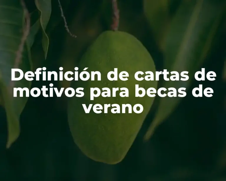 Definición de cartas de motivos para becas de verano