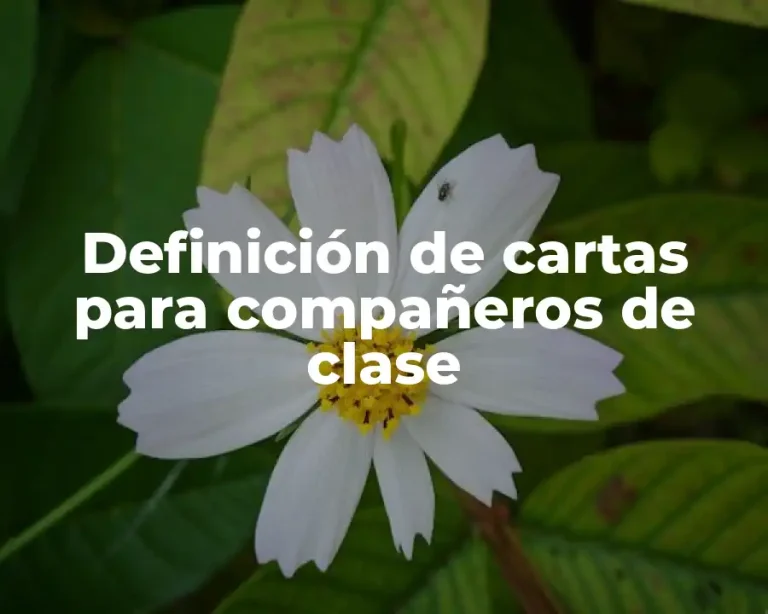 Definición de cartas para compañeros de clase