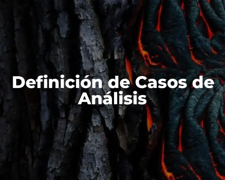Definición de Casos de Análisis