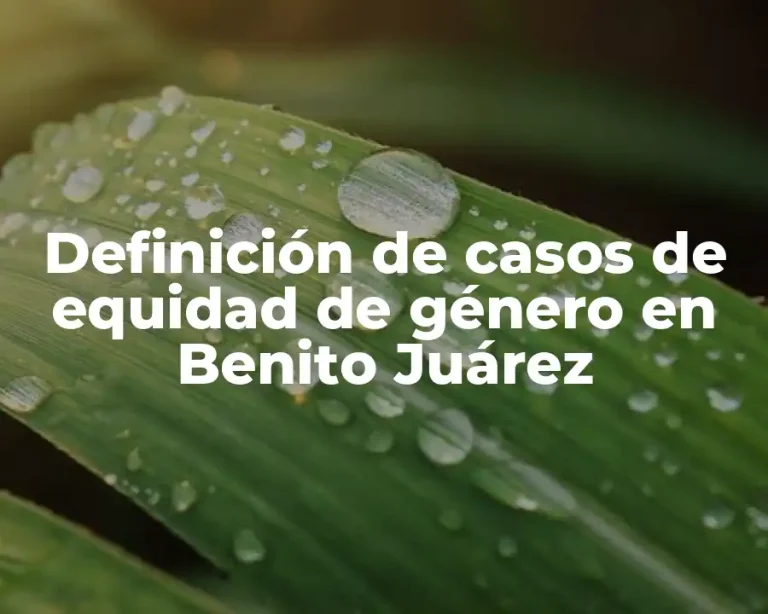 Definición de casos de equidad de género en Benito Juárez