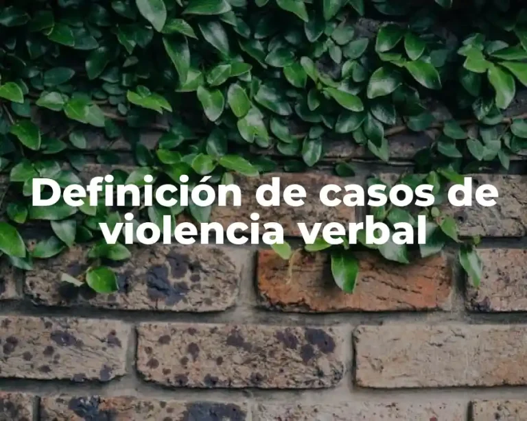 Definición de casos de violencia verbal