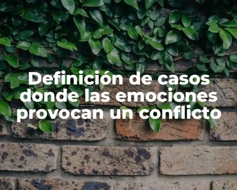 Definición de casos donde las emociones provocan un conflicto