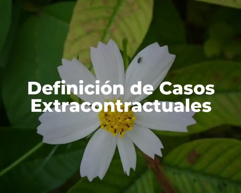 Definición de Casos Extracontractuales