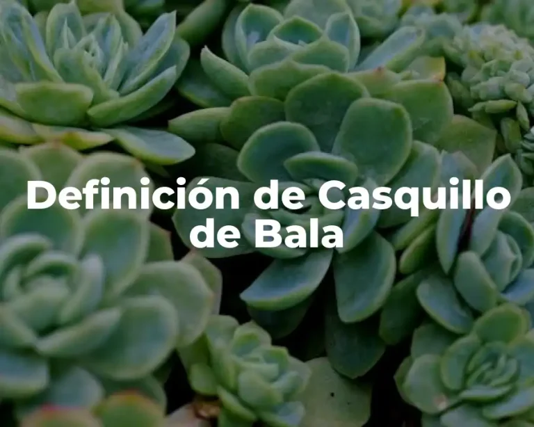 Definición de Casquillo de Bala
