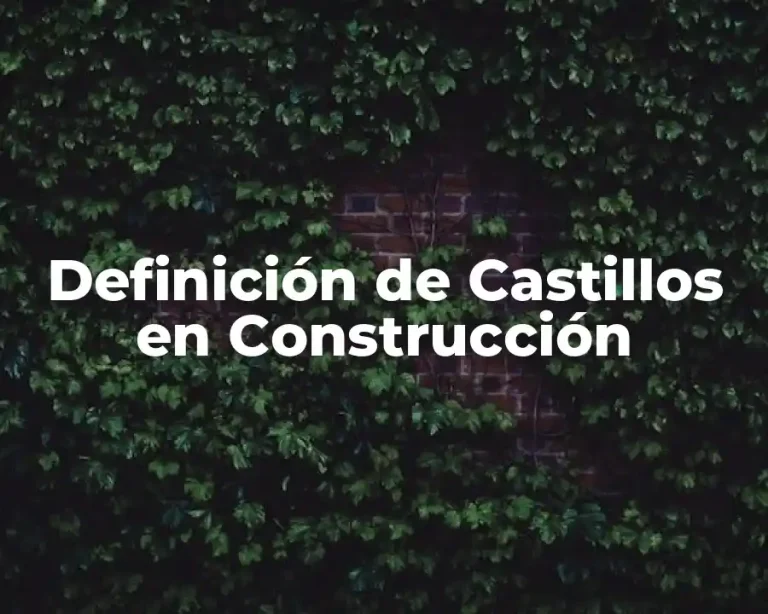 Definición de Castillos en Construcción