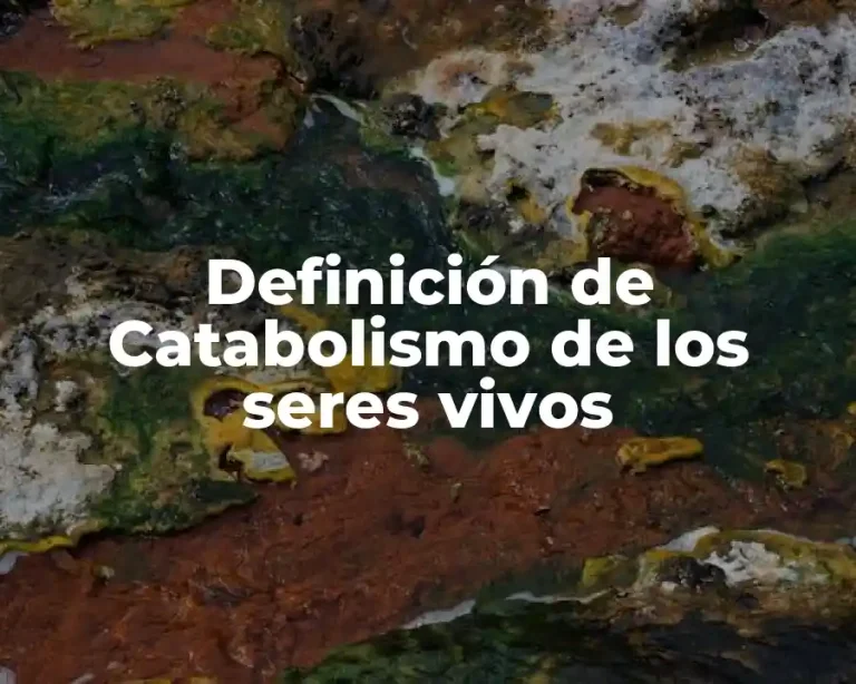 Definición de Catabolismo de los seres vivos