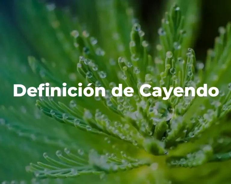 Definición de Cayendo