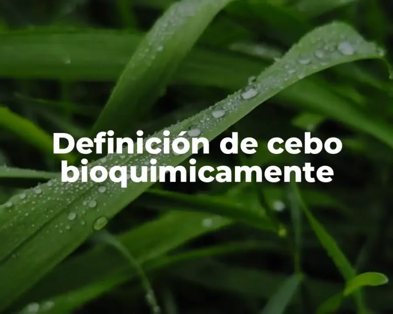 Definición de cebo bioquimicamente