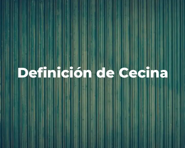 Definición de Cecina