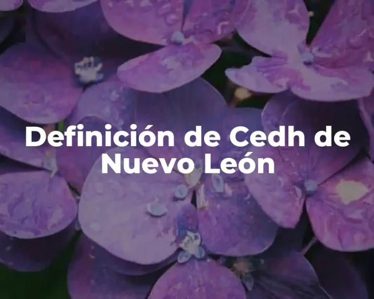 Definición de Cedh de Nuevo León