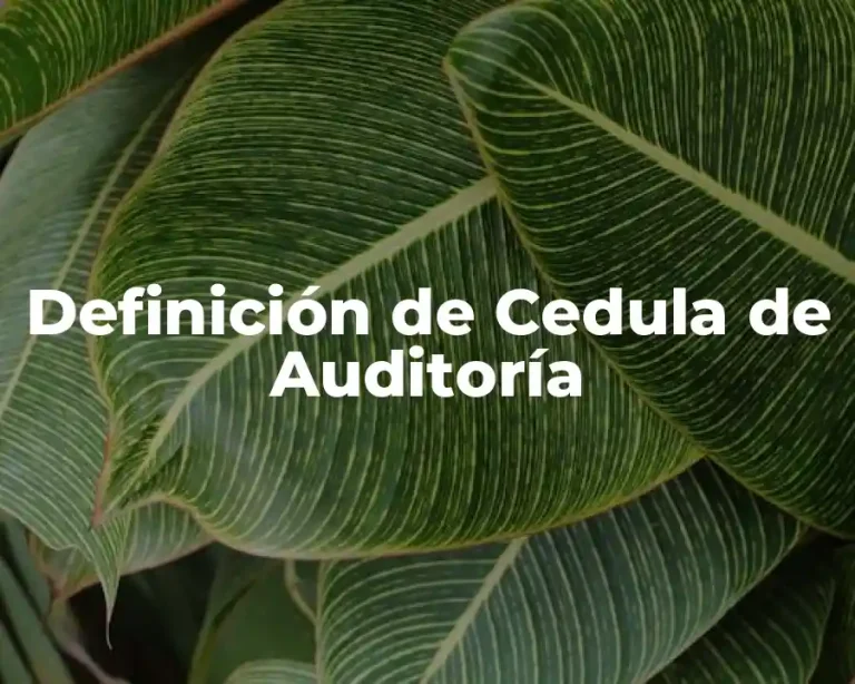 Definición de Cedula de Auditoría