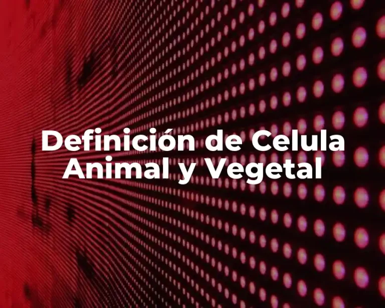 Definición de Celula Animal y Vegetal