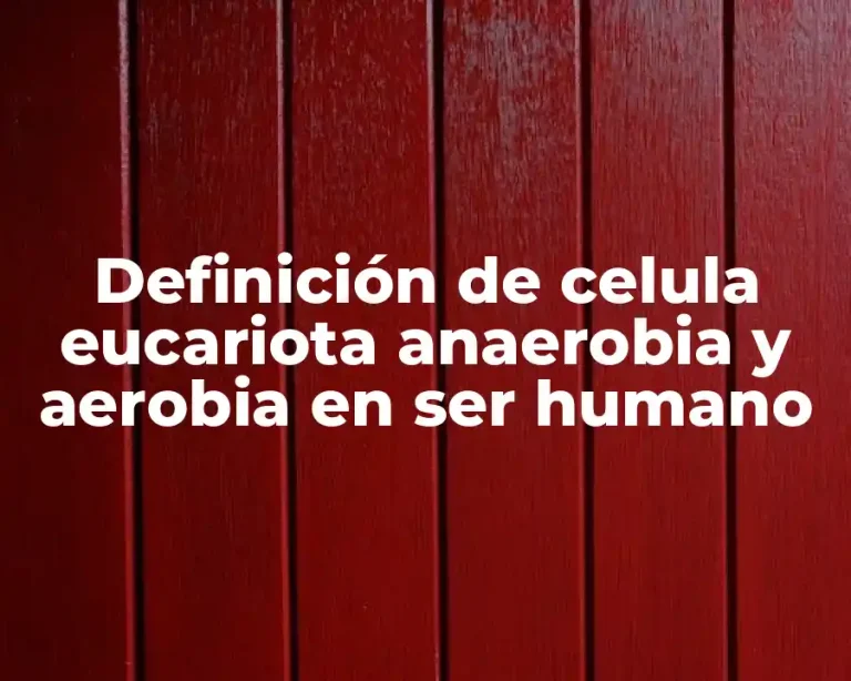 Definición de celula eucariota anaerobia y aerobia en ser humano