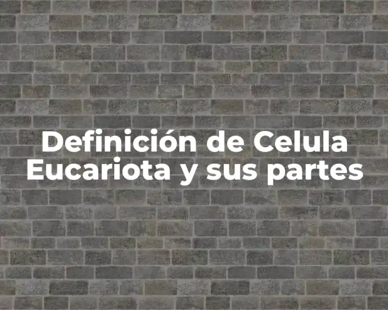 Definición de Celula Eucariota y sus partes