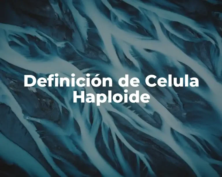 Definición de Celula Haploide
