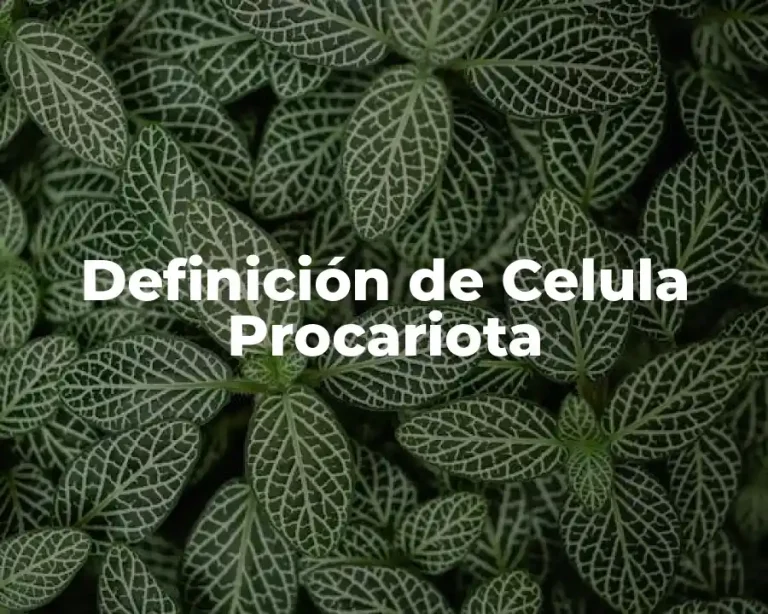 Definición de Celula Procariota