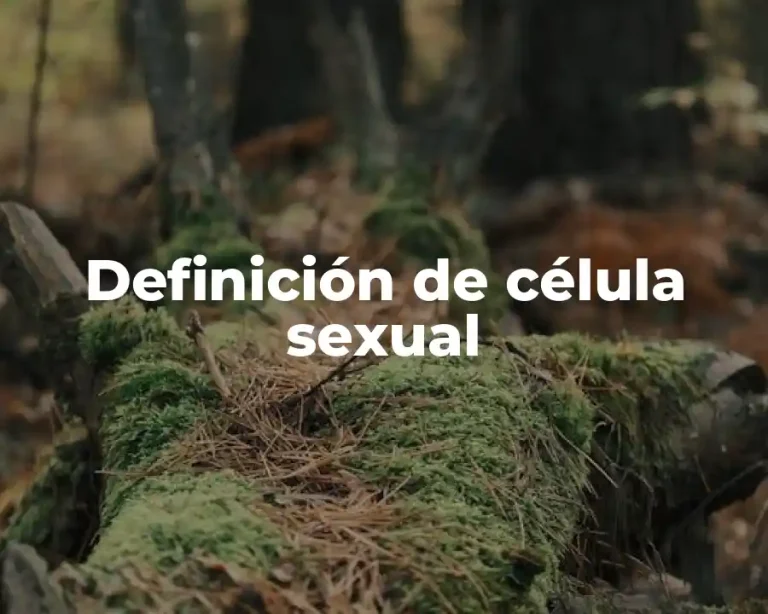 Definición de célula sexual
