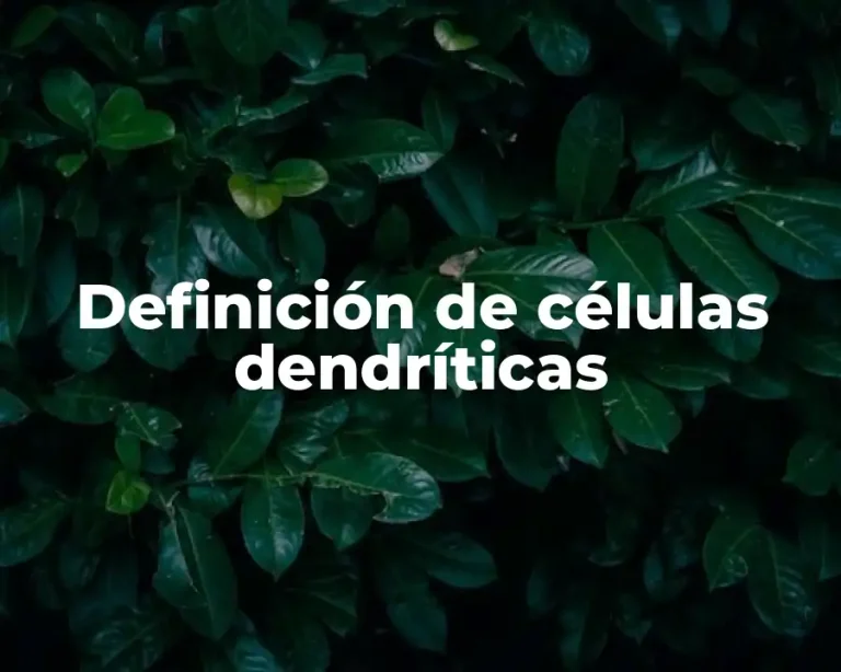 Definición de células dendríticas