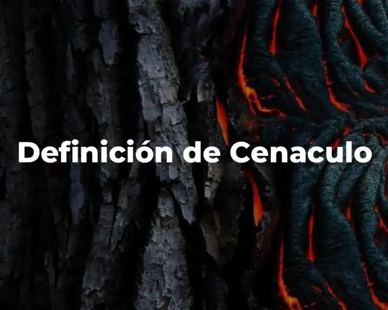 Definición de Cenaculo