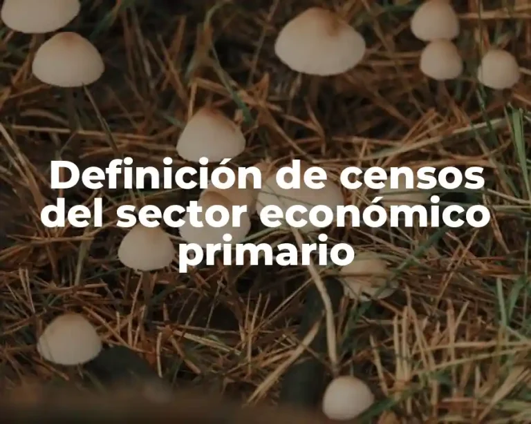 Definición de censos del sector económico primario