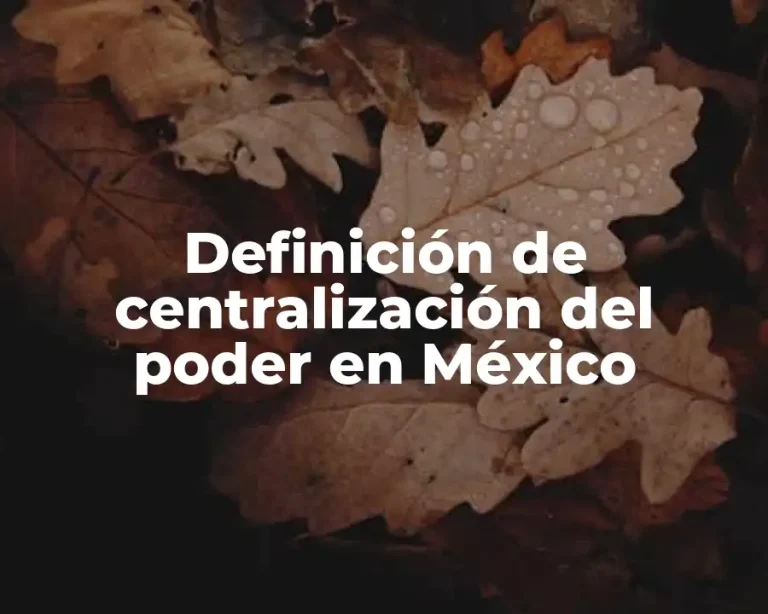Definición de centralización del poder en México