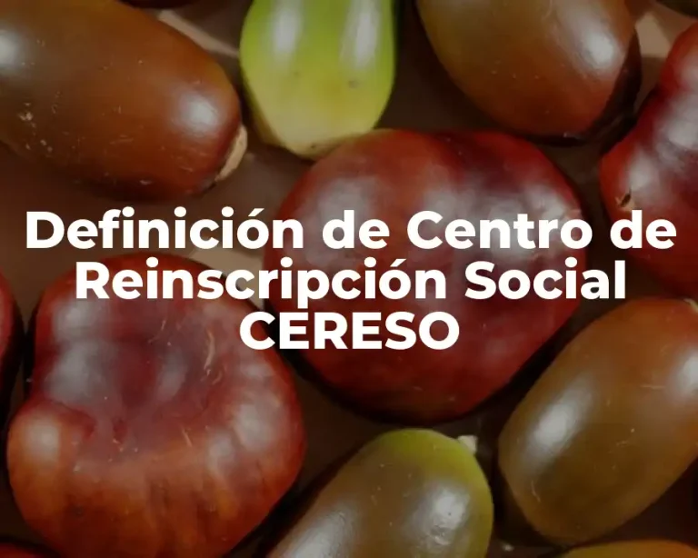 Definición de Centro de Reinscripción Social CERESO
