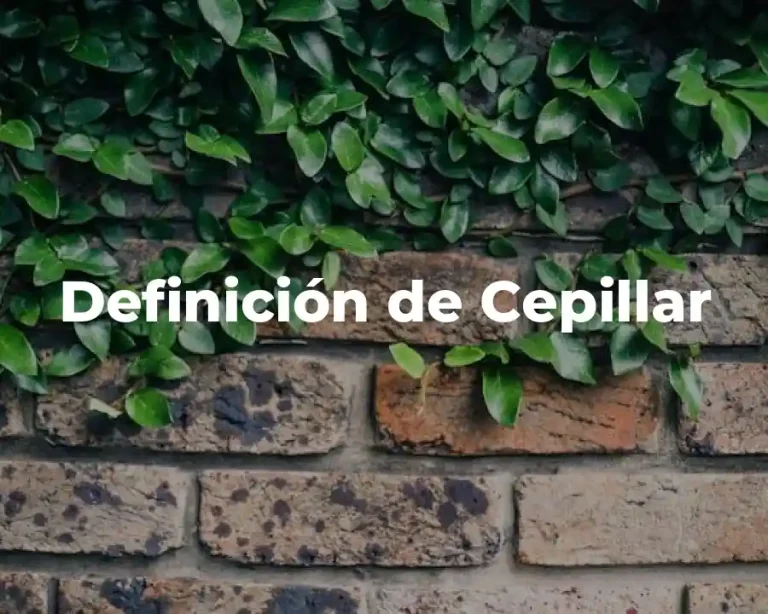 Definición de Cepillar