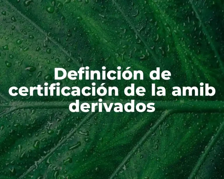 Definición de certificación de la amib derivados