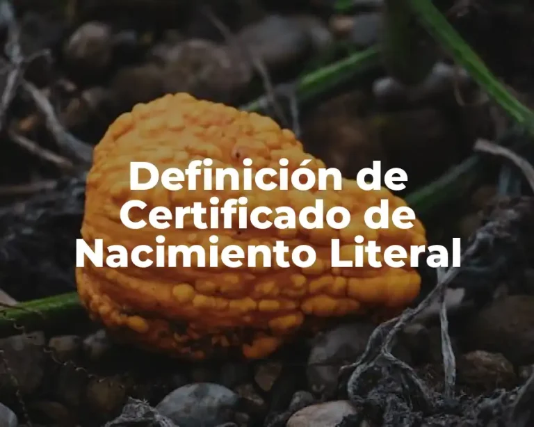Definición de Certificado de Nacimiento Literal