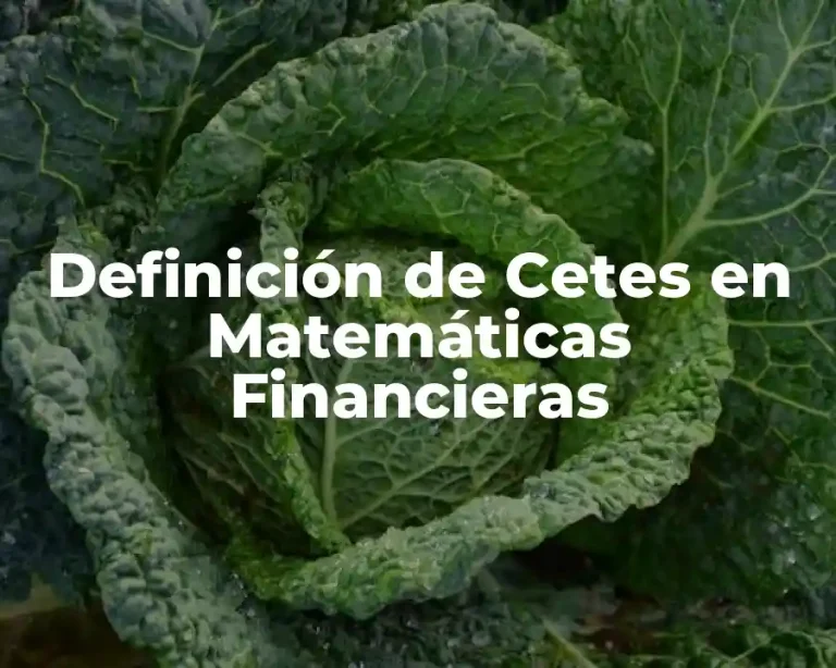 Definición de Cetes en Matemáticas Financieras