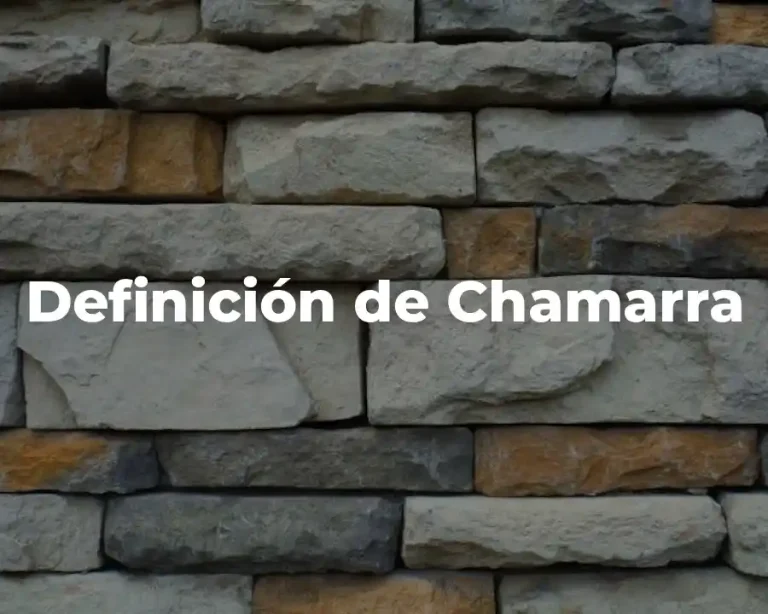 Definición de Chamarra
