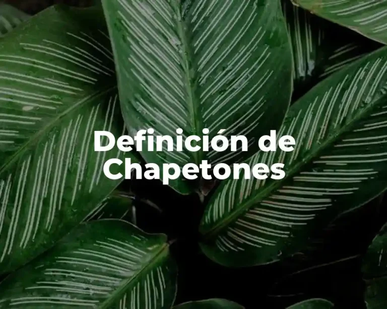 Definición de Chapetones