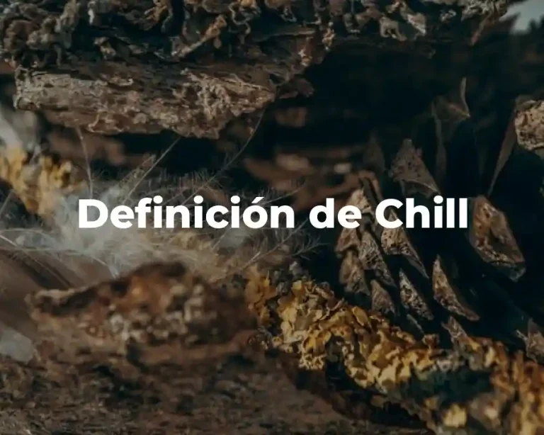 Definición de Chill