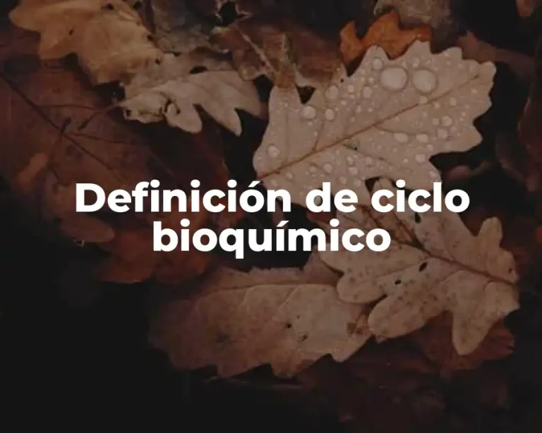 Definición de ciclo bioquímico