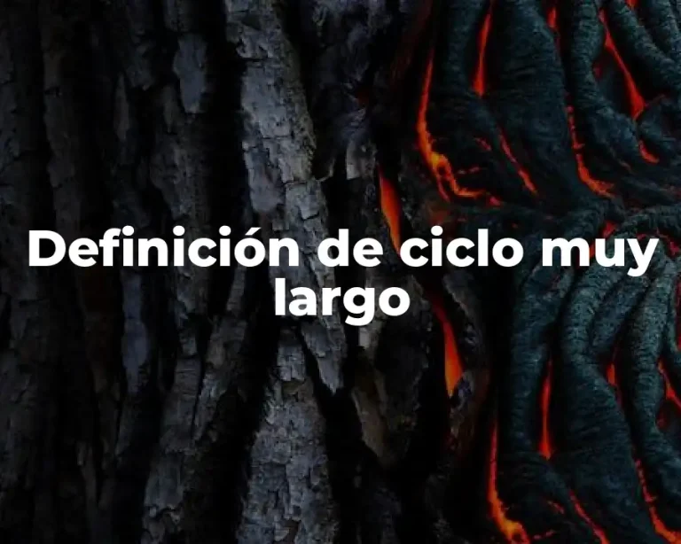 Definición de ciclo muy largo