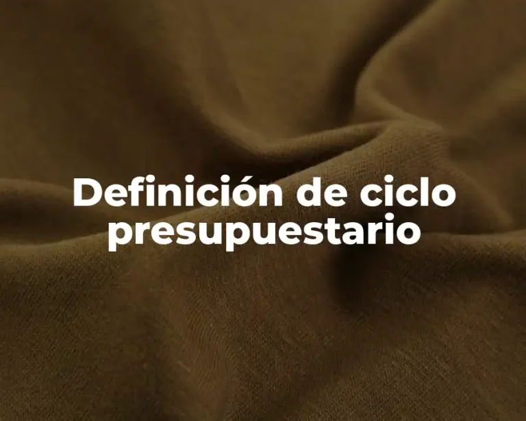 Definición de ciclo presupuestario
