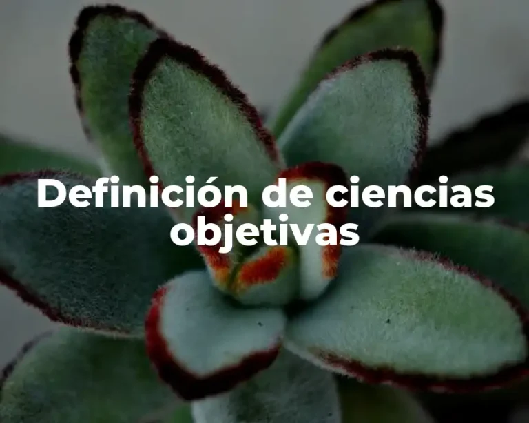Definición de ciencias objetivas