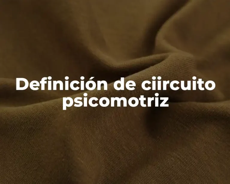 Definición de ciircuito psicomotriz