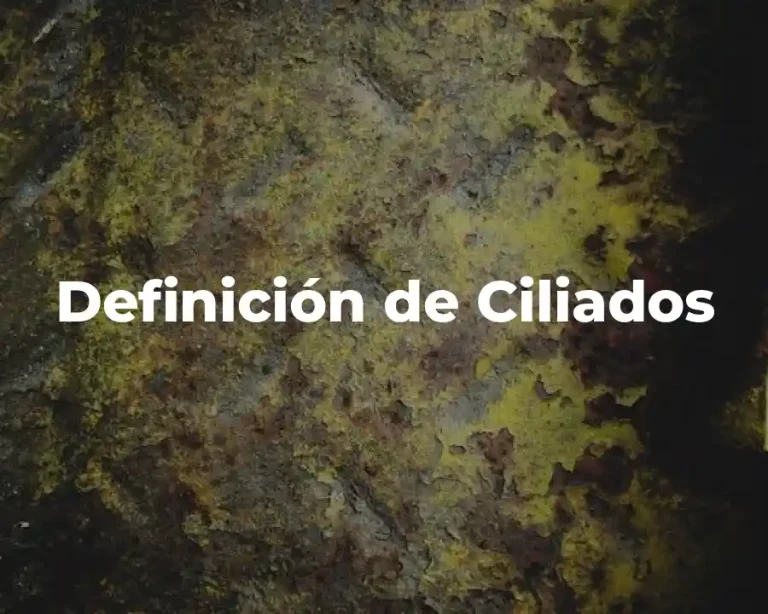 Definición de Ciliados