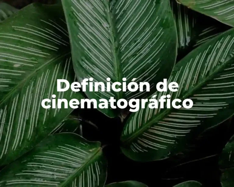 Definición de cinematográfico