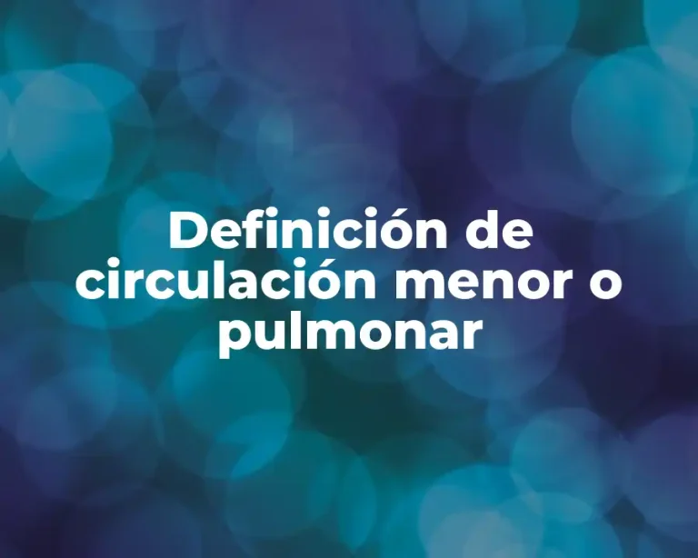 Definición de circulación menor o pulmonar