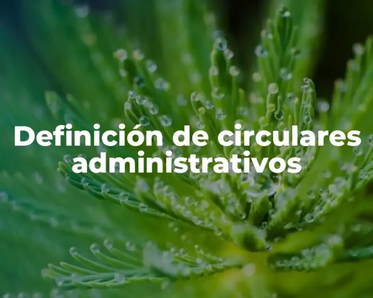 Definición de circulares administrativos