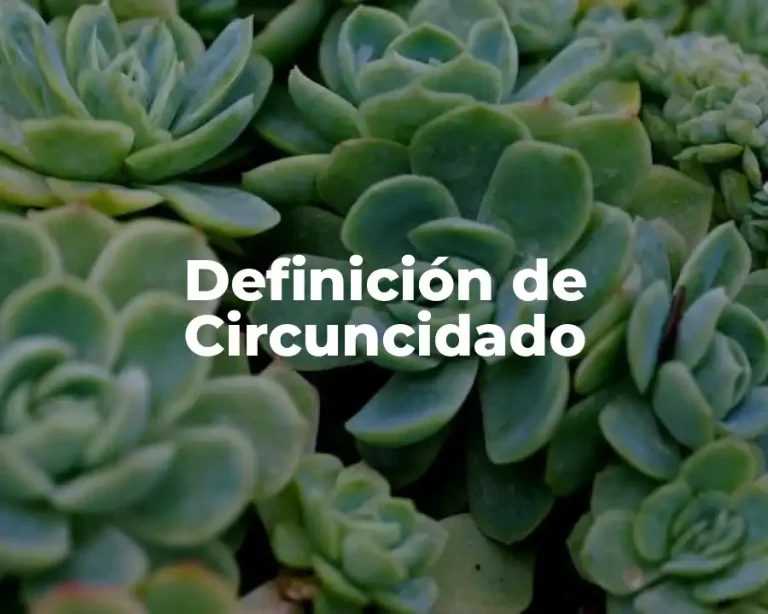 Definición de Circuncidado