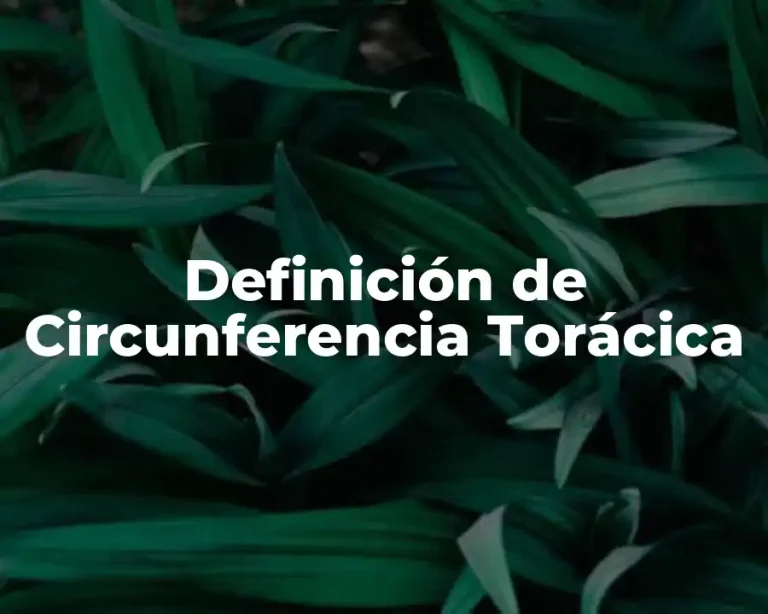 Definición de Circunferencia Torácica