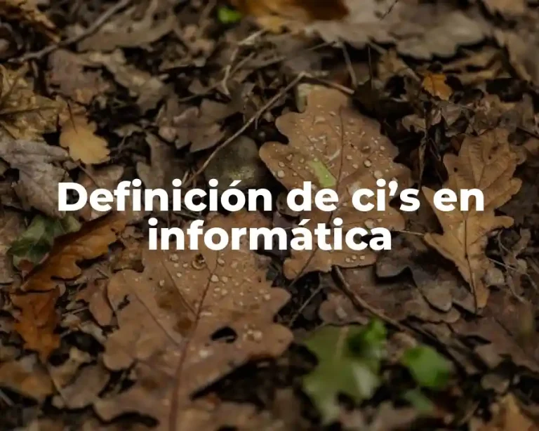 Definición de ci’s en informática
